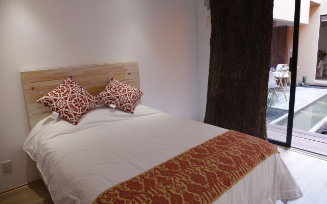 Coyoacan-inn Guesthouse