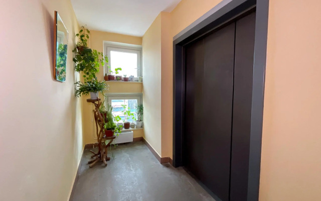Like Home Apartment on Zamora Machela Street 4k1