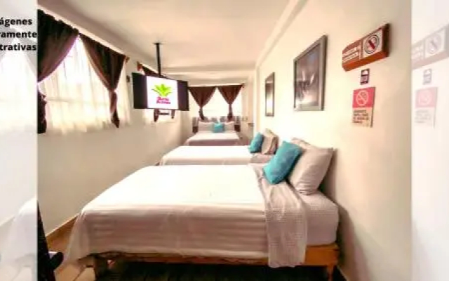 Suites Aldama