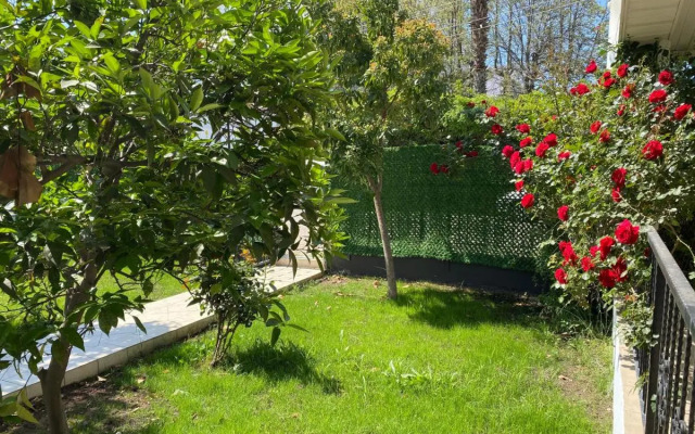Premium park apart
