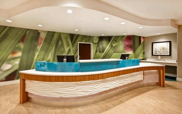 SpringHill Suites by Marriott Baltimore BWI Airport