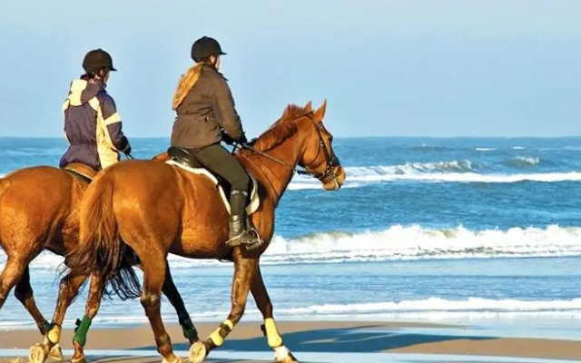 apeiranthos traditional stone house