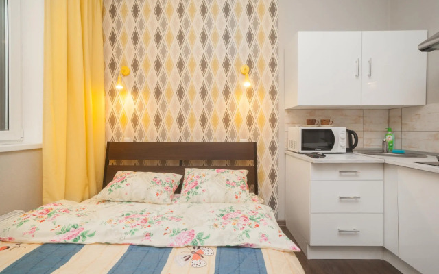 Санди на улице К.И. Вороницына