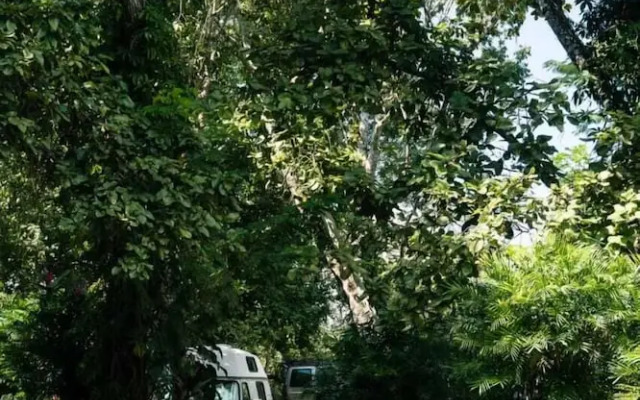 Chaltunha Lodge