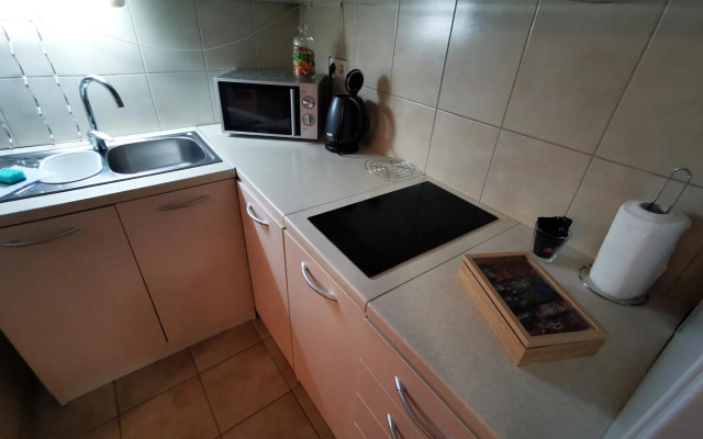 PASSENGER self CHECK-IN