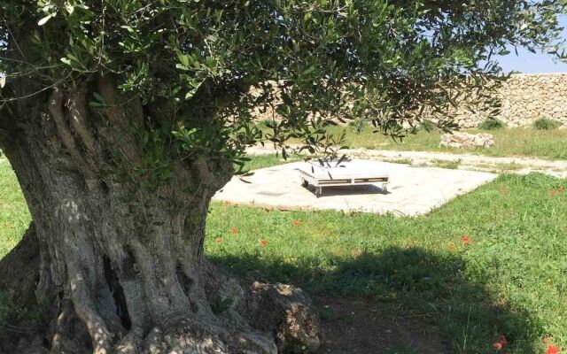 Masseria Gelsi