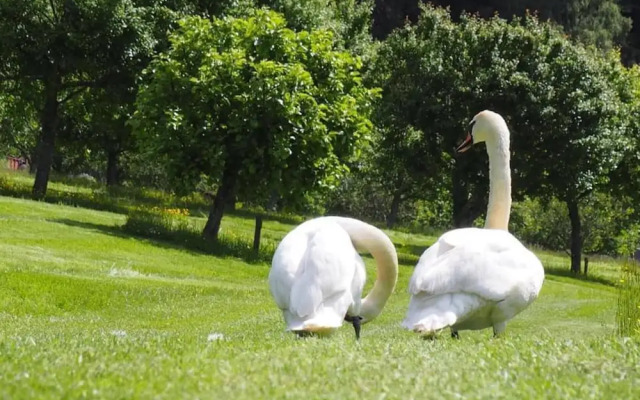 1 Bed Flat - Sleeps 2 - Wifi