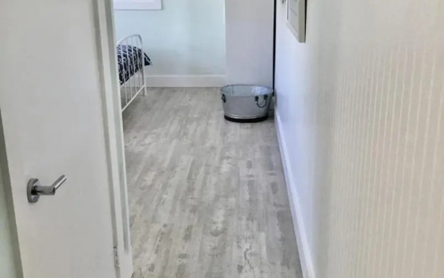 AMI Sand Dollar - 6403 B Holmes