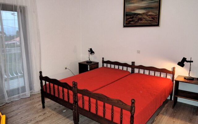 Apartment Pink Mimosa