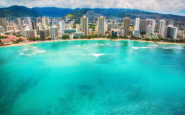 Hawaiian Monarch 2108