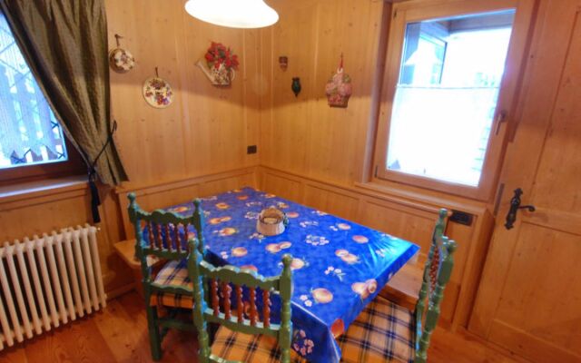 Cesa Galaldriel 29973