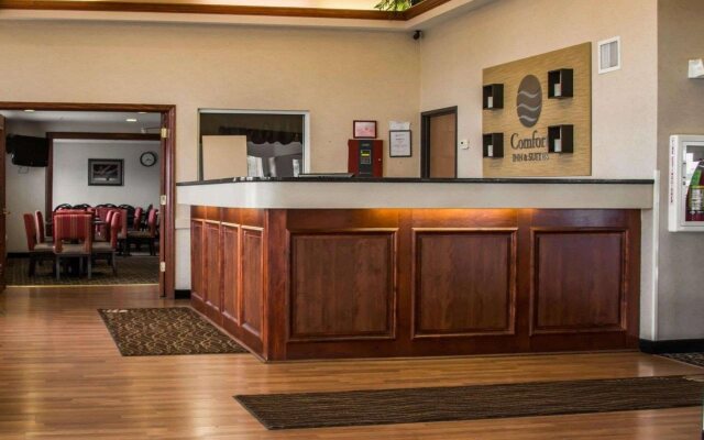Comfort Inn & Suites Diamondale – Lansing