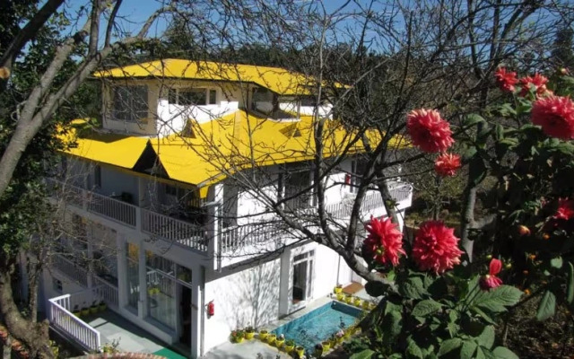 Te Aroha Dhanachuli