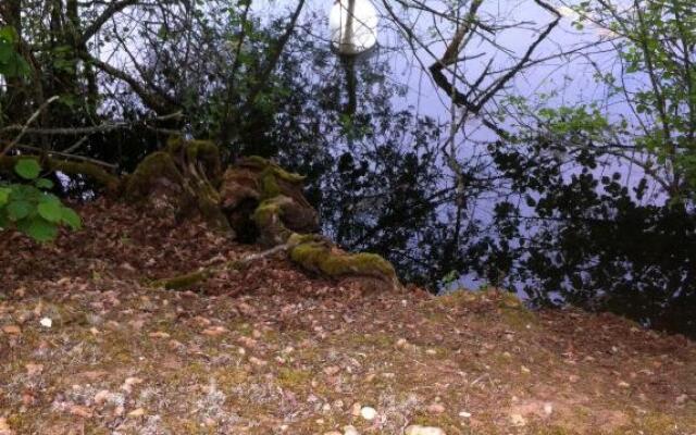 Chambre dHôtes Dyrslot