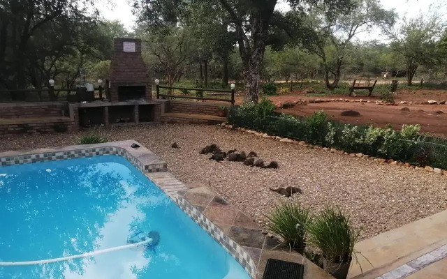 Flight of the Eagle @ Kruger