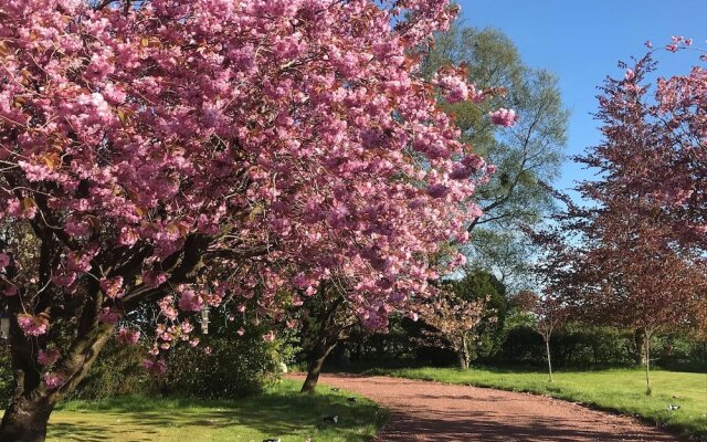 The Beeches B&B