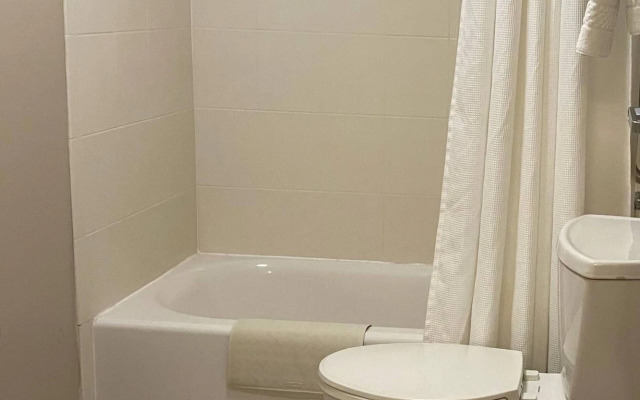 SpringHill Suites by Marriott San Antonio Alamo Plaza/Convention Center