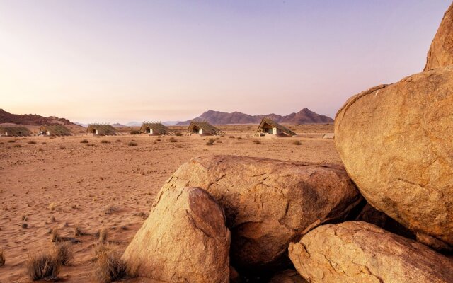 Desert Quiver Camp