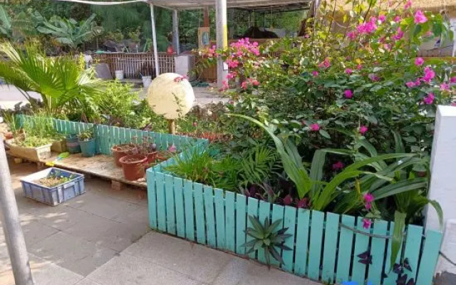 Weizhou Island Shibei Homestay (Shell Beach)