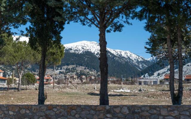 Villa Dianne Apt 1 Livadi Arachovas