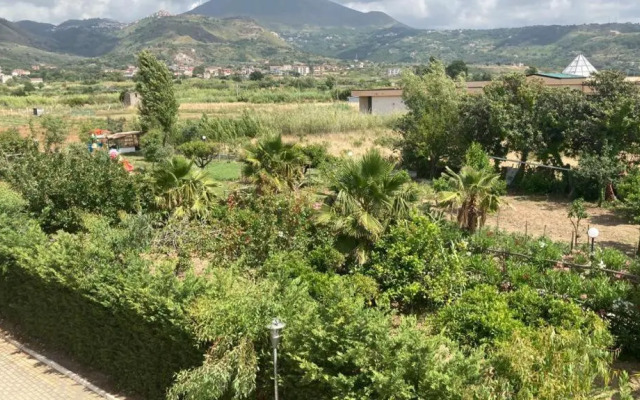 Suite Hotel Dominicus