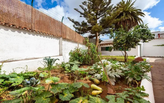 Patio Hostel - Adults Only