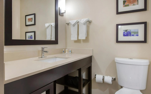 Comfort Suites - South Austin
