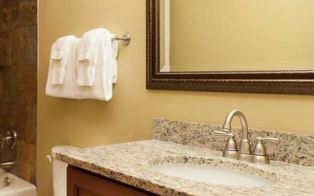 Shenandoah Wilderness Traveler