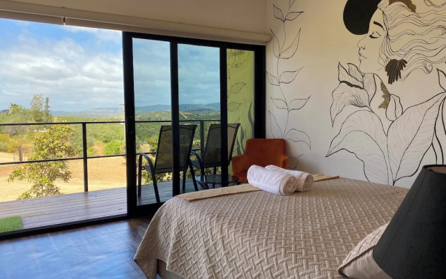 Palta 60 Valle de Guadalupe