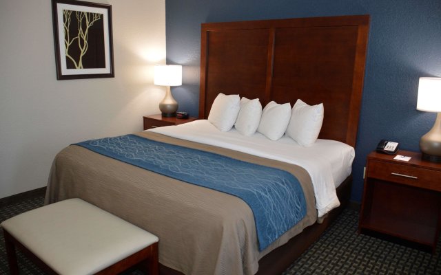 Best Western Northwest Corpus Christi Inn & Suites