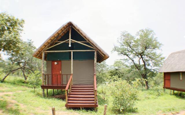 Lion Roars Lodge