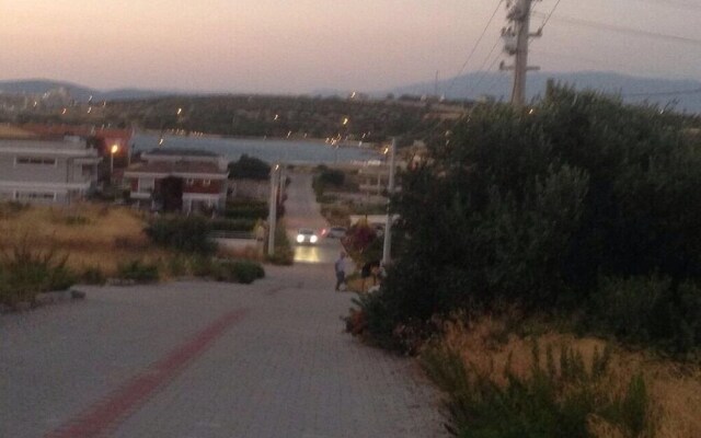 CE004 by Villaofsummer