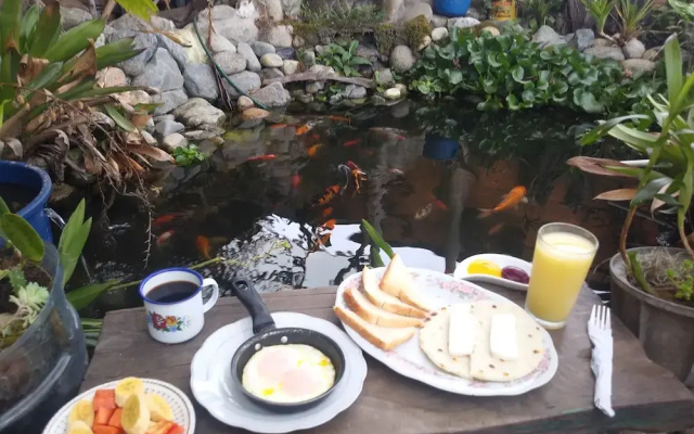 Bareque hostal