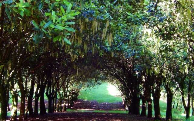 Riverbend Byron Hinterland Retreat