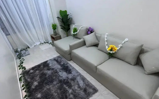 New royai studio