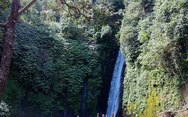 Bedugul Camping