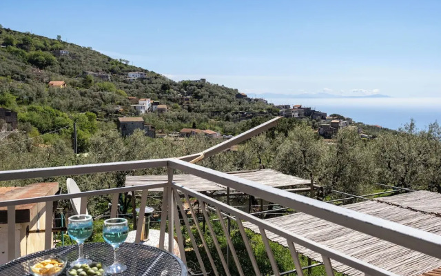 Sky Blue Guesthouse