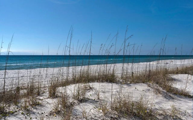 Par-A-Dice By Blueswell