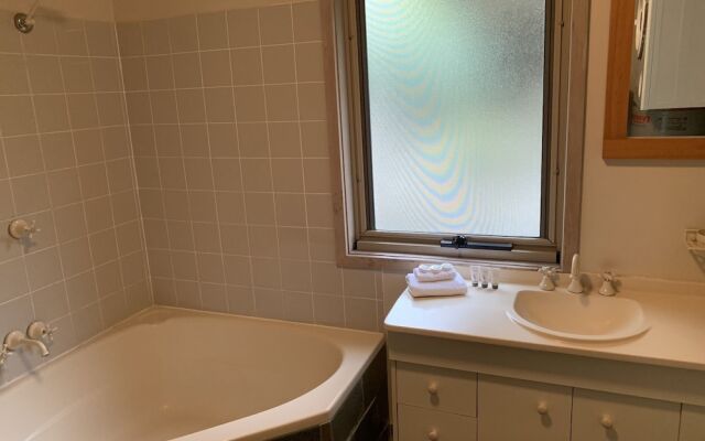 Snowgums on the Lake