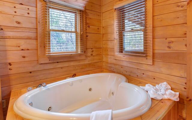 Bear Pause by Vtrips