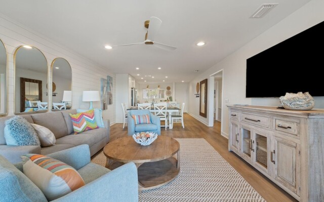 Needle Rush Point D11