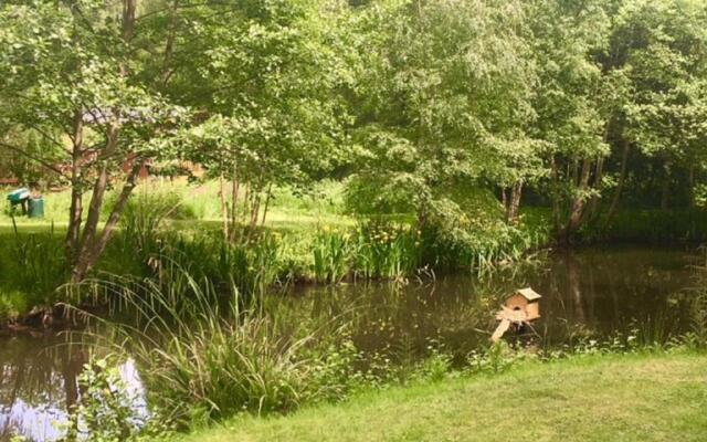 Hollicarrs - Lilypad Lodge