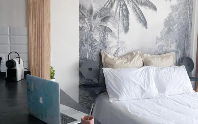 Un Palmier dans la chambre, studio de standing