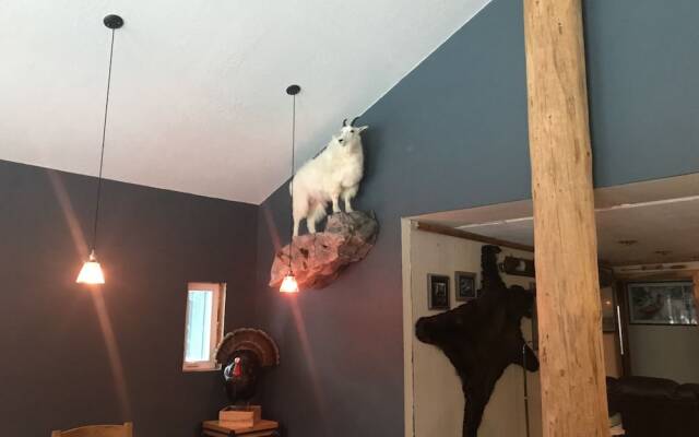 The Last Resort Lodge