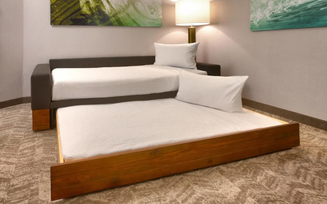 SpringHill Suites Idaho Falls