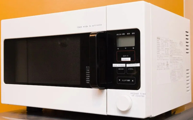 My Pavilion to Arasiyama & Gion