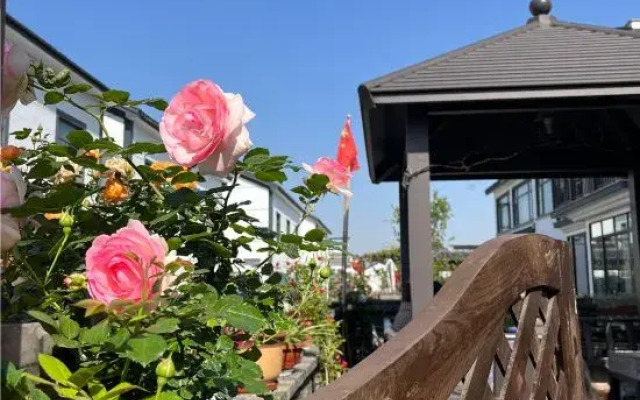 Tian Yunju Homestay