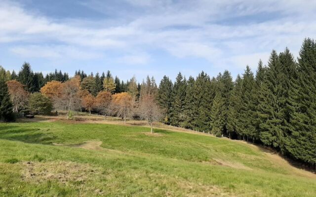 Pension & FeWo's Talblick