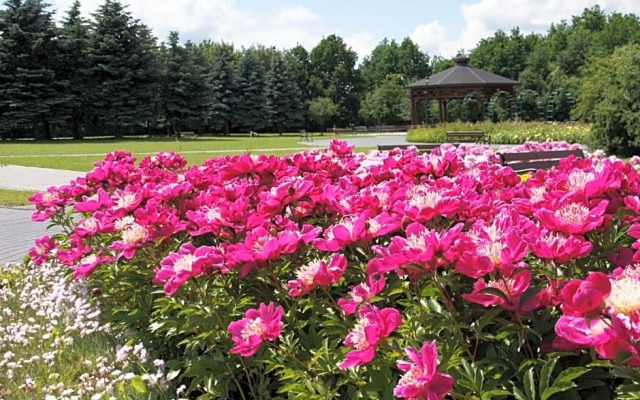 Hotel Park