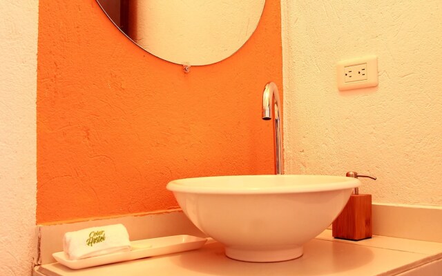 Color Hostel Palomino